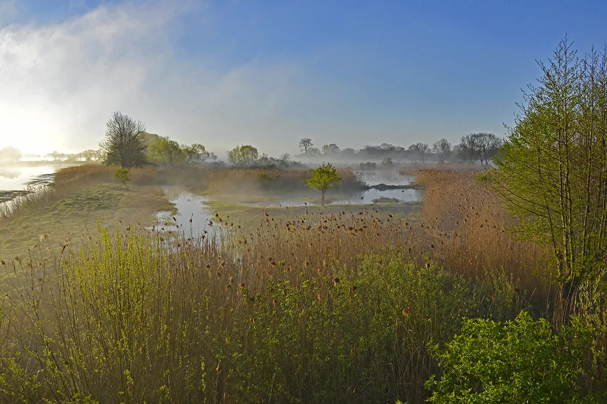 Linumer Teichland im Morgennebel
